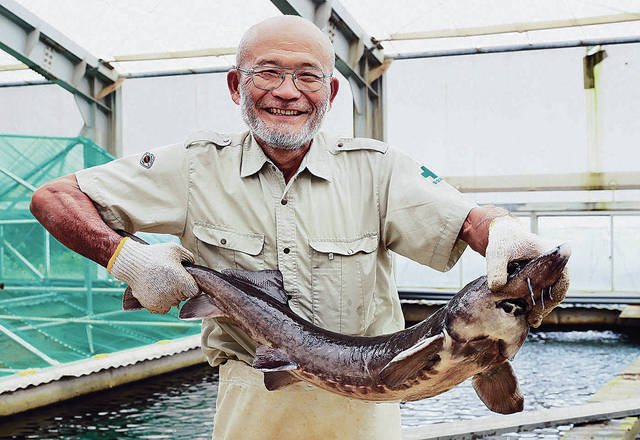 🏞️ 이데노야마 담수어 수족관 (이데노야마 단스이교스이조쿠칸) 이미지 7